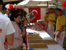 Milano 2008
